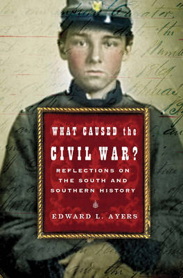 What Caused the Civil War? Reflections on the South and Southern History - Edward L. Ayers