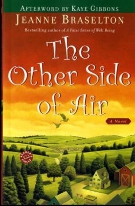 The Other Side Of Air - Jeanne Braselton