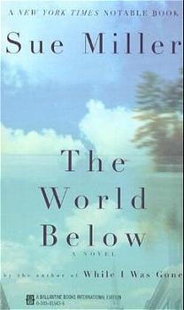 The World Below - Sue Miller