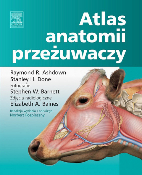 Atlas anatomii przezuwaczy -  Raymond Ashdown