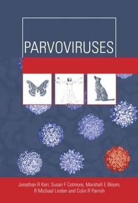 Parvoviruses - Jonathan Kerr, Susan Cotmore, Marshall E Bloom