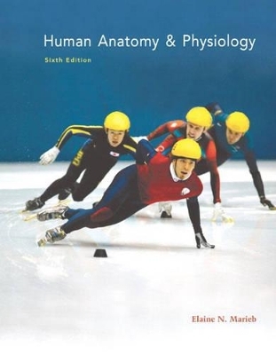 Human Anatomy & Physiology with InterActive Physiology® 8-System Suite - Elaine N. Marieb