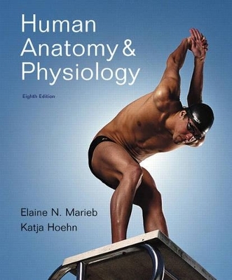 Human Anatomy and Physiology with Interactive Physiology 10-System Suite - Elaine N. Marieb, Katja Hoehn