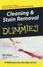 Cleaning and Stain Removal for Dummies - Gill Chilton