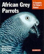 African Grey Parrots - Maggie Wright