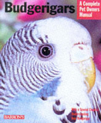 Budgerigars - Immanuel Birmelin