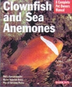 Clownfish and Sea Anemones - John Tullock