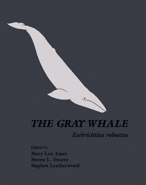 Gray Whale: Eschrichtius Robustus - 