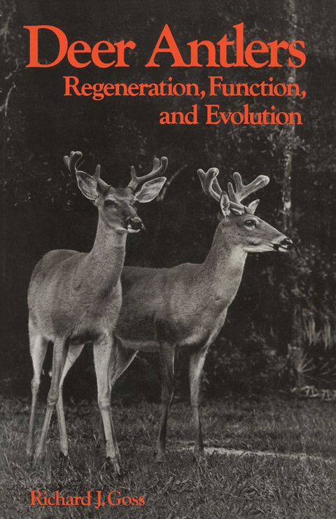 Deer Antlers -  Richard J. Goss