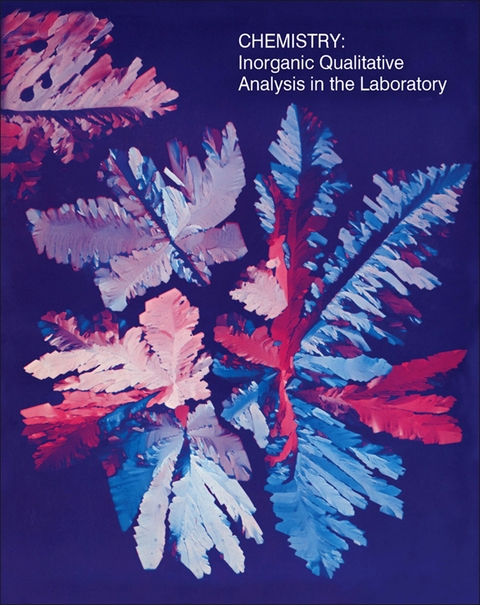 Chemistry: Inorganic Qualitative Analysis in the Laboratory -  Clyde Metz