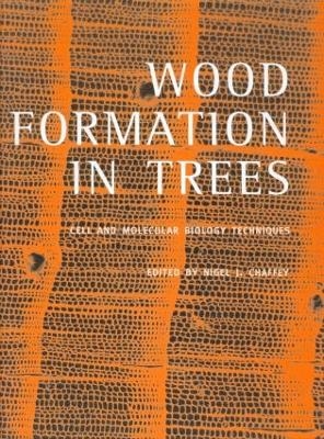 Wood Formation in Trees - 