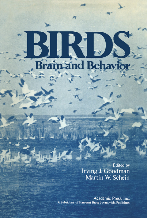 Birds - 