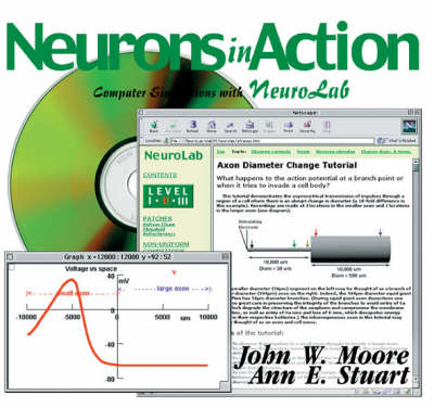 Neurons in Action - Computer Simulations with Neurolab - John W. Moore, Ann E. Stuart