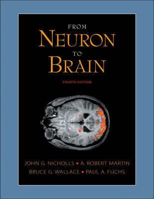 From Neuron to Brain - Stephen W. Kuffler, John G. Nicholls