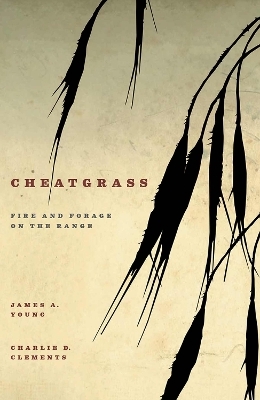 Cheatgrass