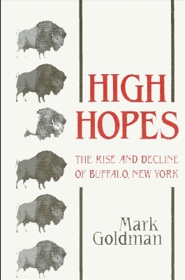 High Hopes - Mark Goldman