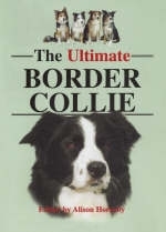 The Ultimate Border Collie - 