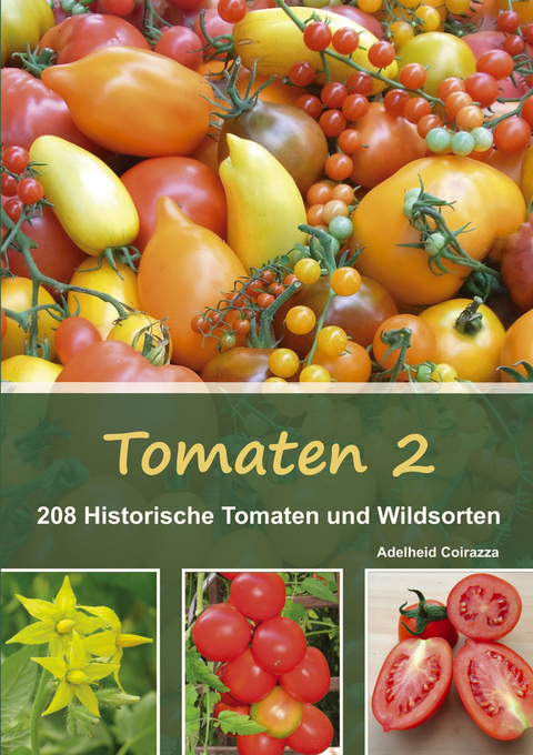 Tomaten 2 - Adelheid Coirazza