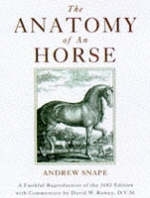 The Anatomy Of An Horse - Andrew Snape