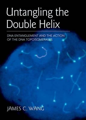 Untangling the Double Helix - James C. Wang