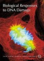 Biological Responses to DNA Damage