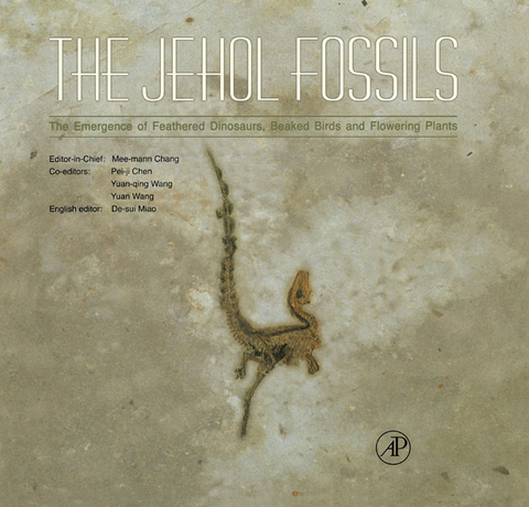 Jehol Fossils - 