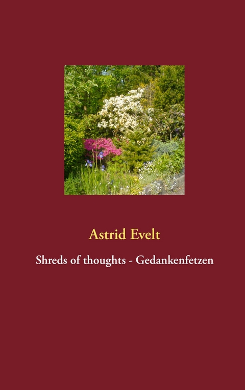 Shreds of thoughts - Gedankenfetzen -  Astrid Evelt