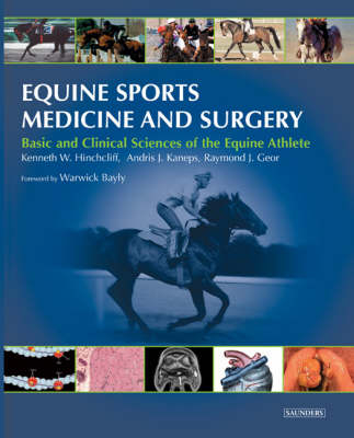 Equine Sports Medicine and Surgery - Kenneth W. Hinchcliff, Raymond J. Geor, Andris J. Kaneps