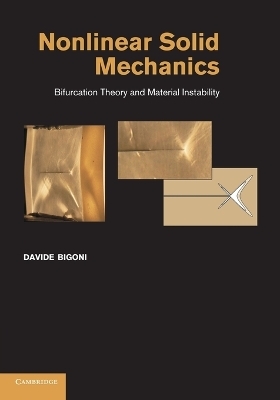 Nonlinear Solid Mechanics - Davide Bigoni