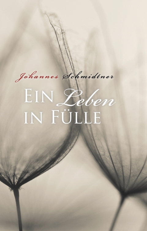 Ein Leben in Fülle - Johannes Schmidtner