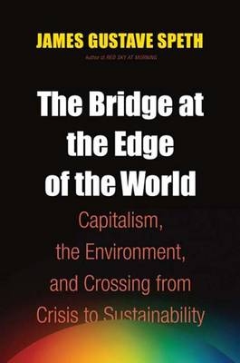 The Bridge at the Edge of the World - James Gustave Speth