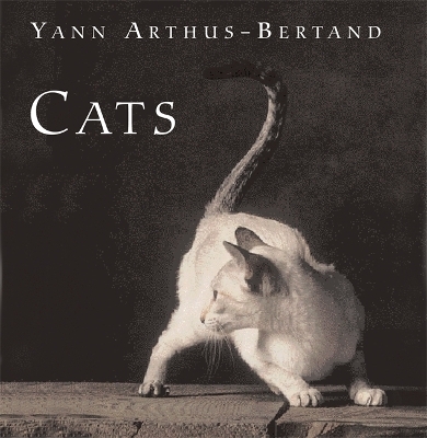 Cats - Yann Arthus-Bertrand