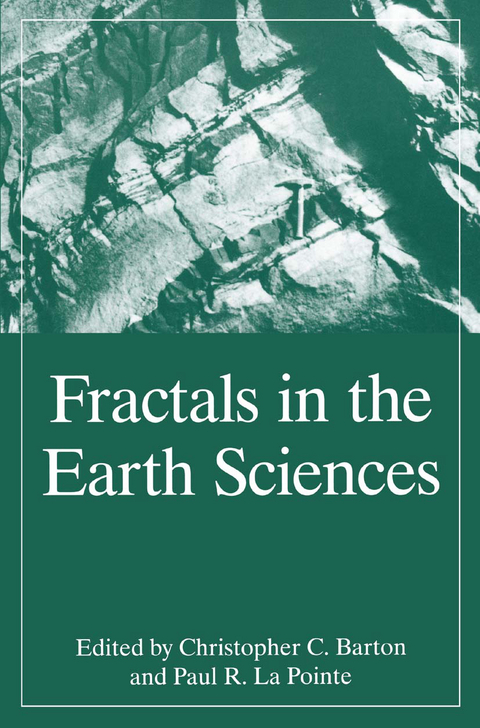 Fractals in the Earth Sciences - 