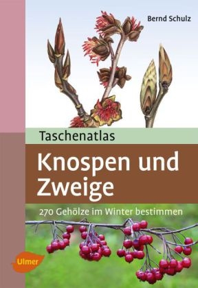 Taschenatlas Knospen und Zweige - Bernd Schulz