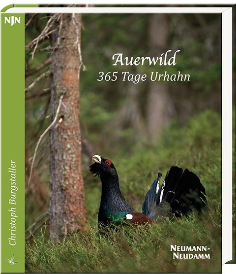 Auerwild – 365 Tage Urhahn - Christoph Burgstaller