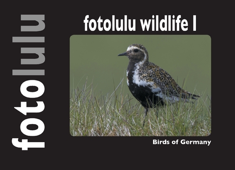 fotolulu wildlife I -  fotolulu