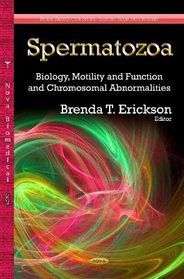 Spermatozoa - 