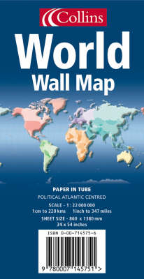 World Wall Map