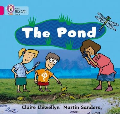 The Pond - Claire Llewellyn