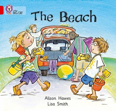 The Beach - Alison Hawes