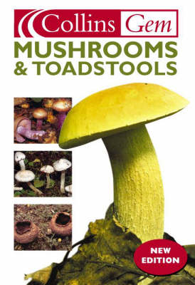 Mushrooms and Toadstools - Patrick Harding