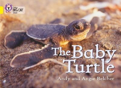 The Baby Turtle - Andy Belcher, Angie Belcher