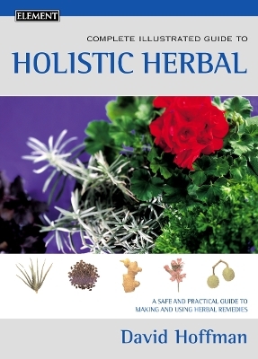 Holistic Herbal - David Hoffmann