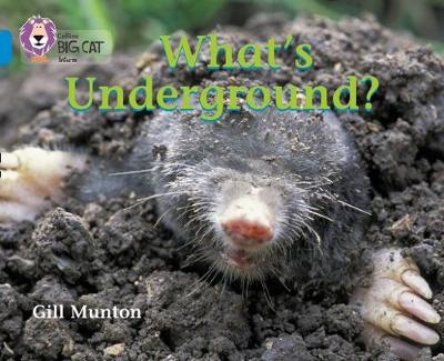 What’s Underground - Gill Munton