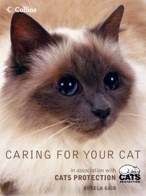 Caring for Your Cat - Angela Gair