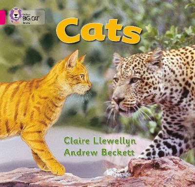 Cats - Claire Llewellyn