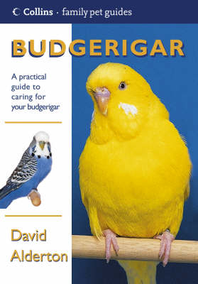 Budgerigar - David Alderton