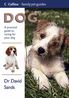 Dog - David Sands