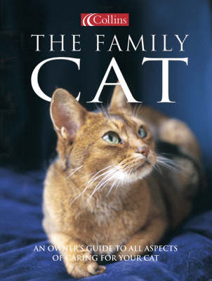 Collins the Family Cat - David Taylor