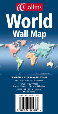 World Wall Map